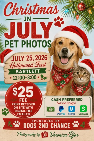 Christmas in July photos no Santa
