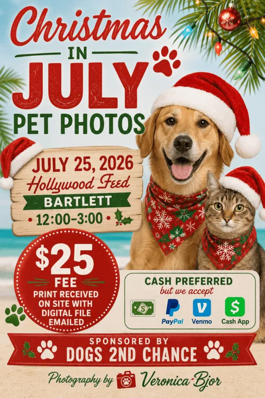 Christmas in July photos no Santa