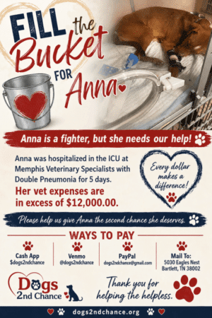 Anna $12,000 bill