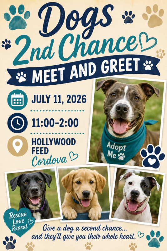 Meet and Greet Cordova