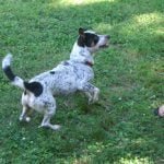 Rosco and Megan