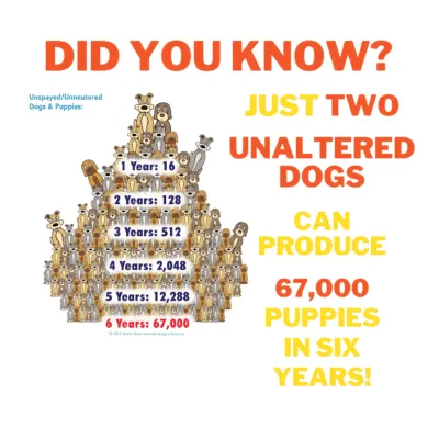 Infographic showing unaltered dogs and puppies production statistics.