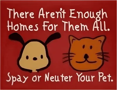 Cute dog and cat illustration promoting pet spay and neuter services.