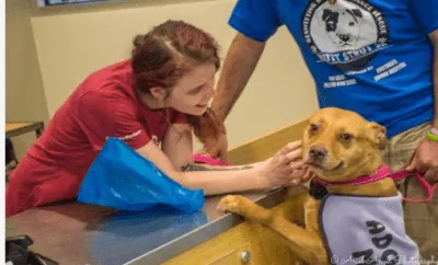 Amber loves doggie pettings