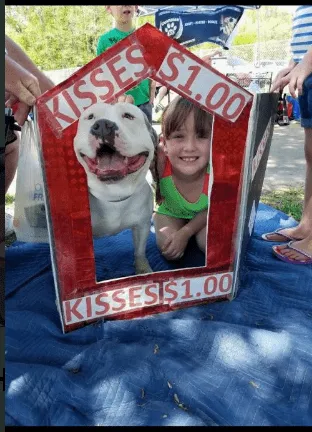 Adopt or foster Azalea, sweet dog, gives kisses
