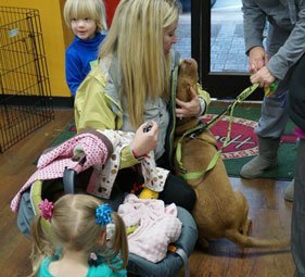 Greet and love the dogs