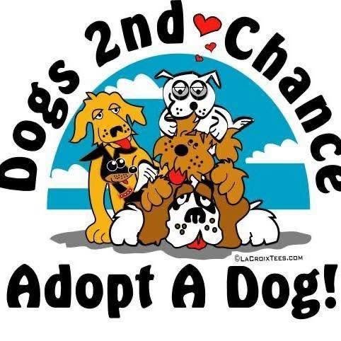 Dogs 2nd Chance