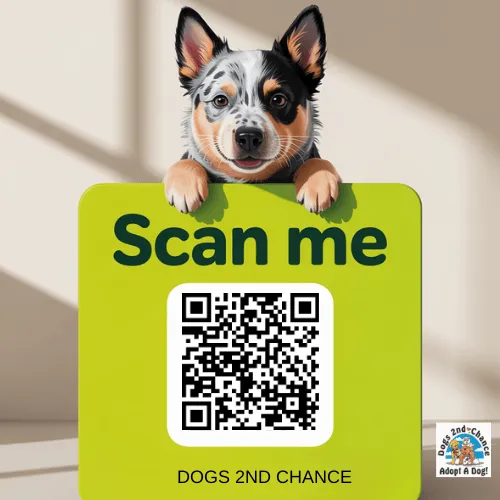 QR code to donate to Dogs 2nd Chance via PayPal