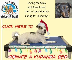 donate-kuranda-bed-xmas-300