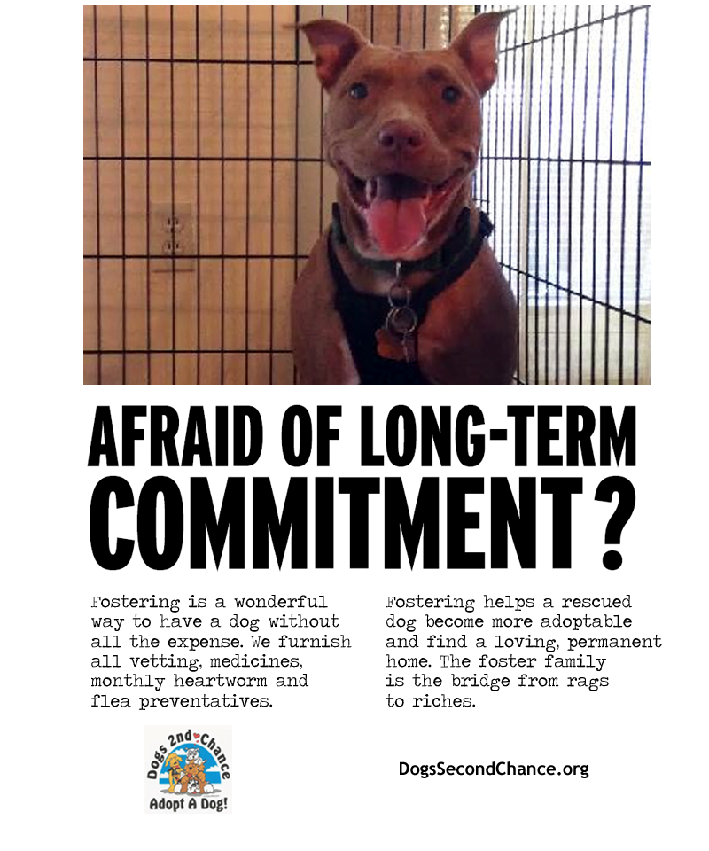 Foster poster