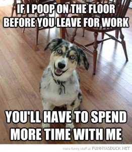 funny-overlly-attached-dog-poop-floor-leave-work-spend-more-time-pics