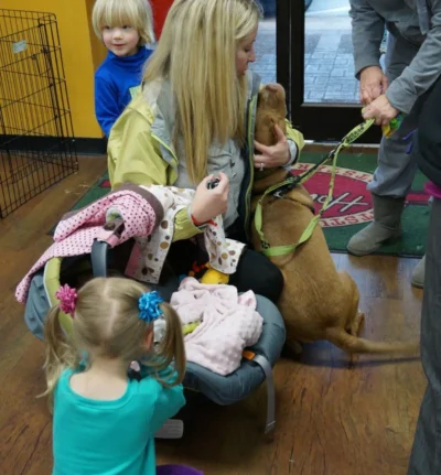 Foster a dog