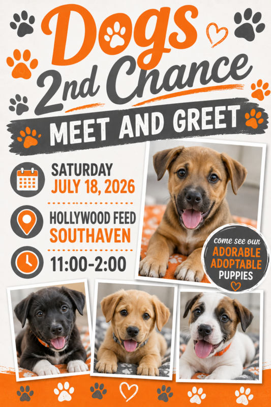 meet and greet southaven