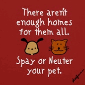 Spay or neuter -- there aren't enough homes