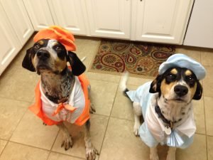 (Left) Mulligan, (Right) Dalton