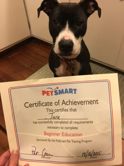 Roxanne Graduates with Honors!