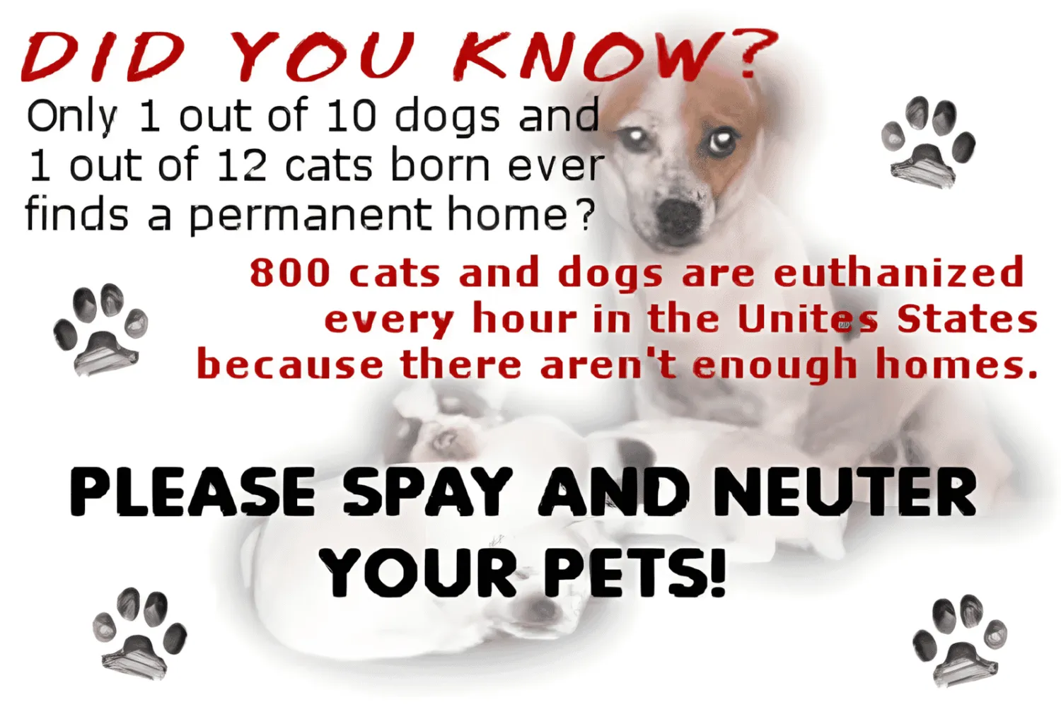 Cute puppy with paw prints promoting pet spay and neuter awareness.