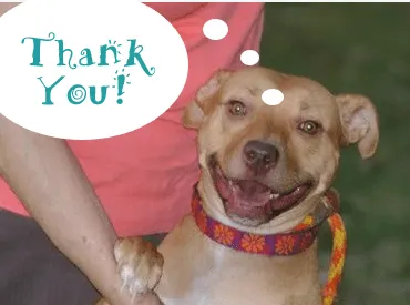 Thank you!