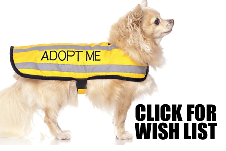 Wish List